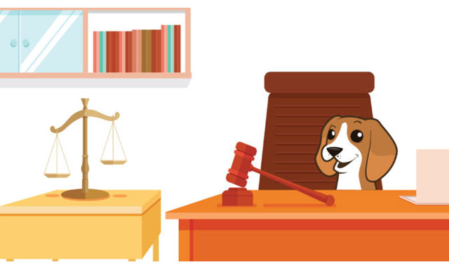 Immagine di un cane seduto sul balcone del giudice